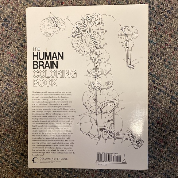 Human Brain Coloring book - like new! Neuroanatomy anatomy resource - Picture 2 of 5